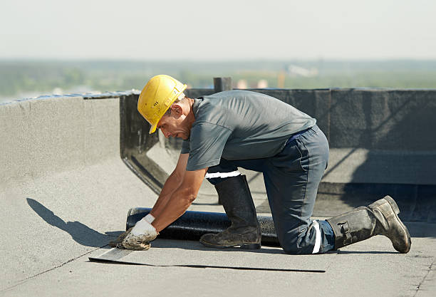 Best Commercial Insulation in Amelia, OH