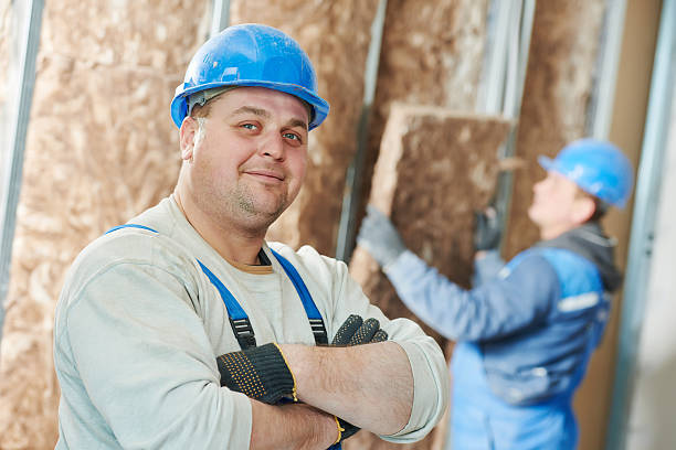 Best Eco-Friendly Insulation in Amelia, OH