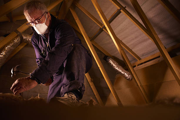 Best Residential Insulation in Amelia, OH